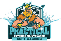 Practical Exterior Maintenance