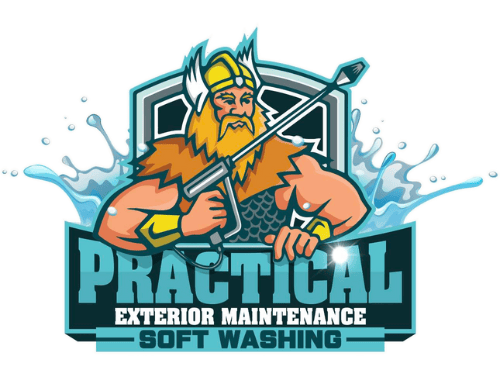 A bearded Viking holding a pressure washer, wearing a horned helmet and armor. The splash behind him features bold text: "Practical Exterior Maintenance Soft Washing" in blue and white letters.