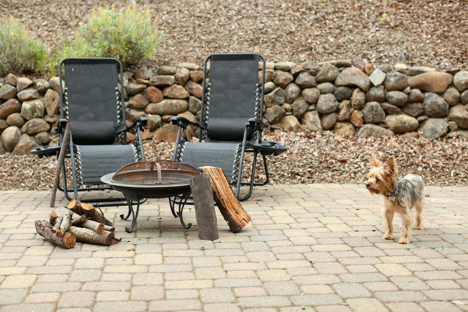 Brick paver patio with a fire pit, outdoor chairs, and a dog relaxing on the pavers