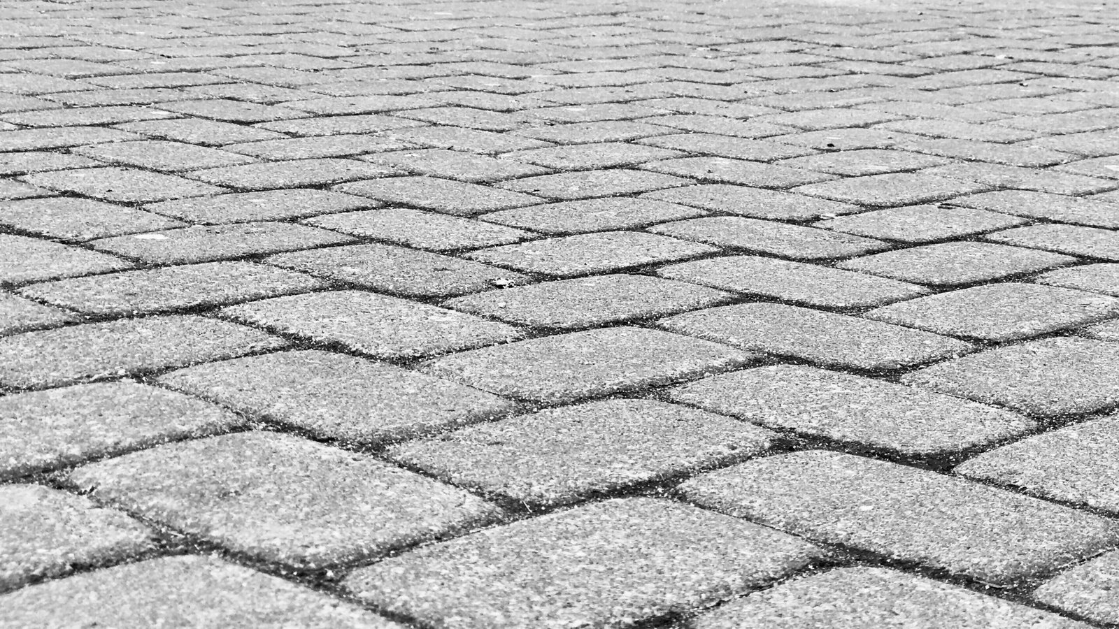 Close-up of clean, sealed gray interlocking paver texture